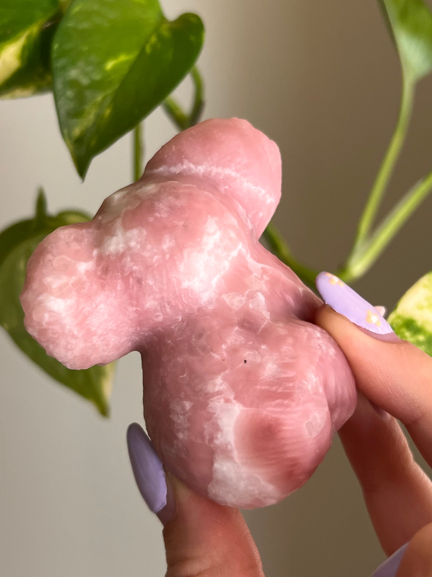 Pink Opal Koala - 2