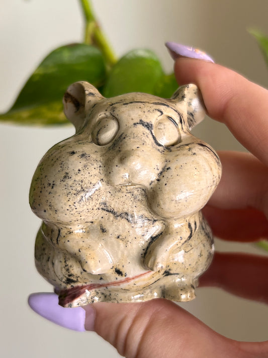 Picture Jasper Hamster