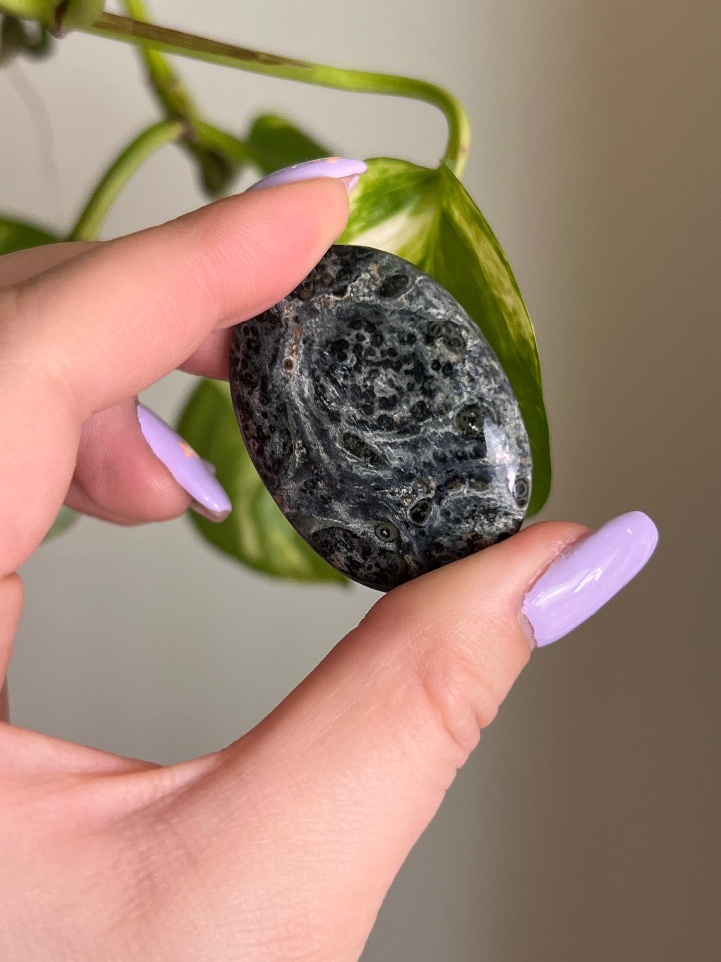 Kambaba Jasper Worry Stone