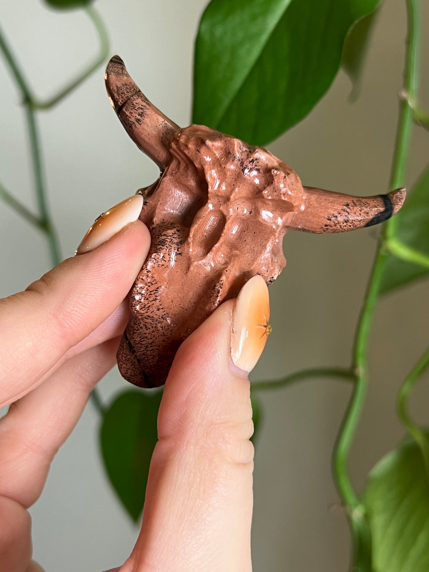 Picture Jasper Cow Skull
