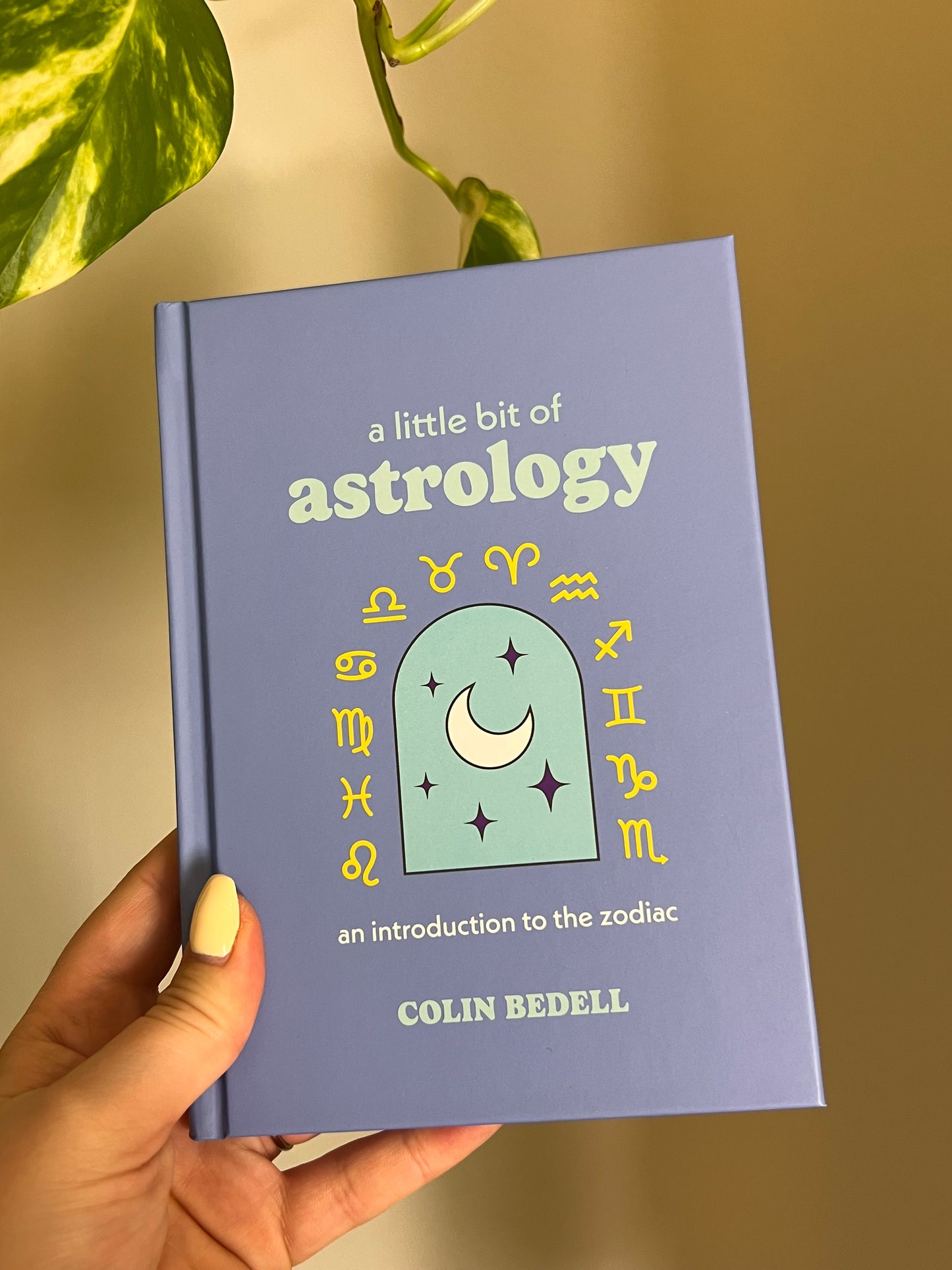A Little Bit of Astrology Book