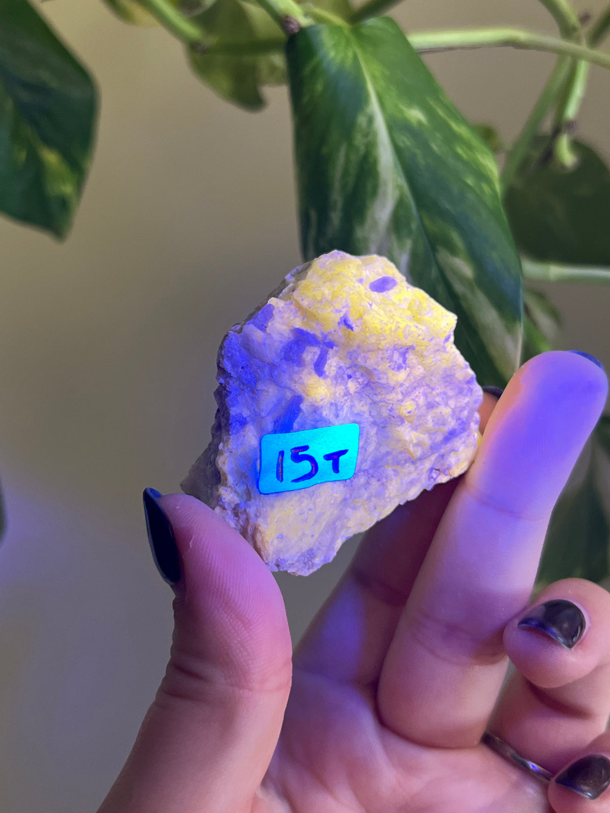 UV Reactive Meionite Scapolite Specimen - T