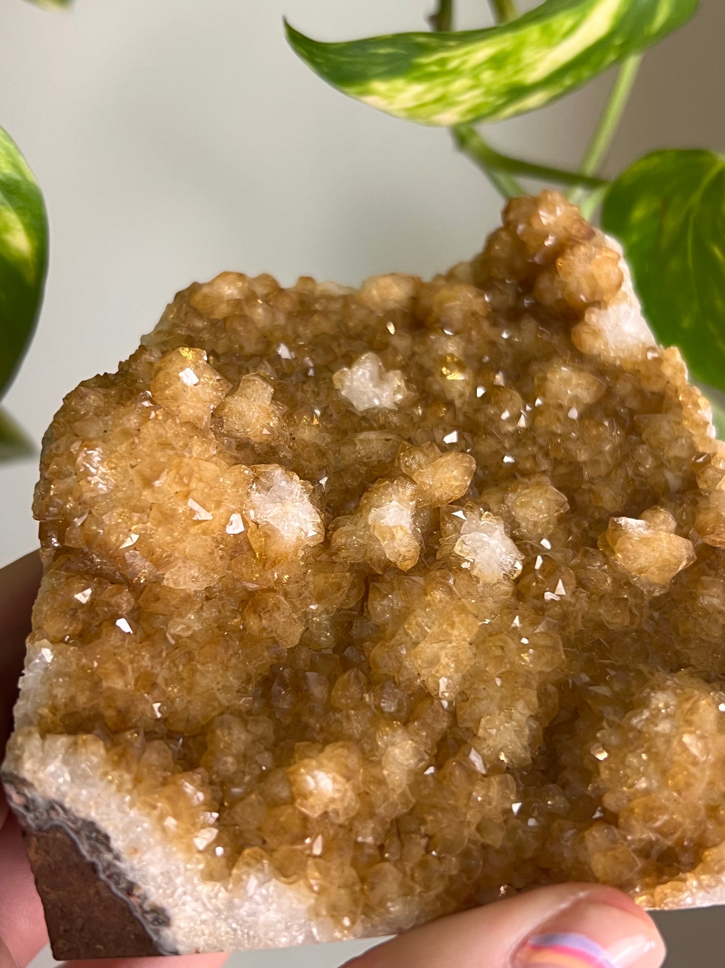 Citrine Cluster Cut Base