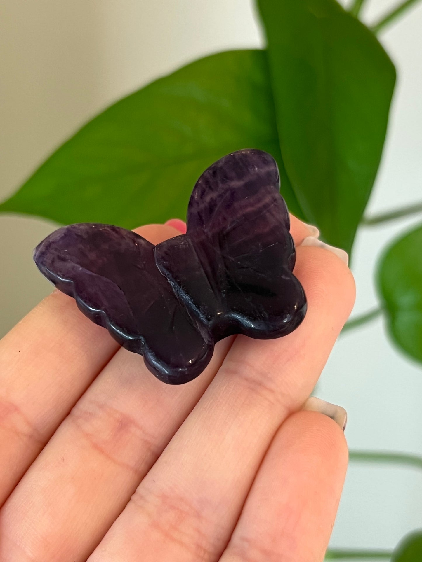 Purple Fluorite Butterfly