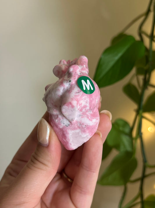 Peruvian Bubblegum Rhodonite Anatomical Heart - M