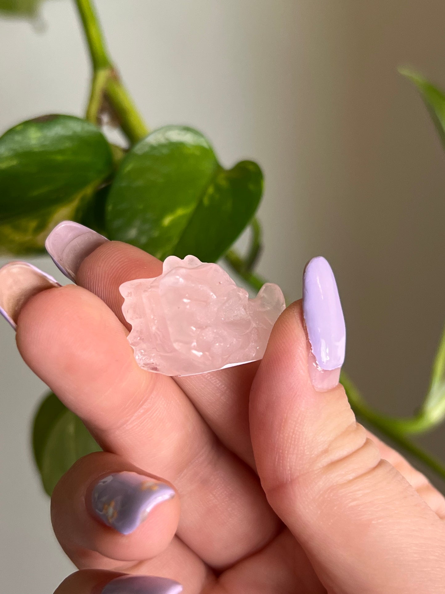Rose Quartz Dragon Head