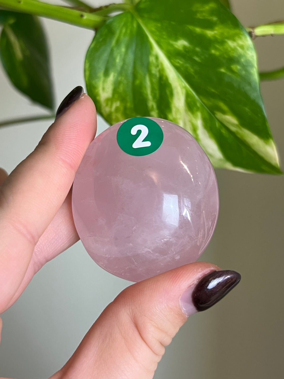 Rose Quartz Palm Stone - 2
