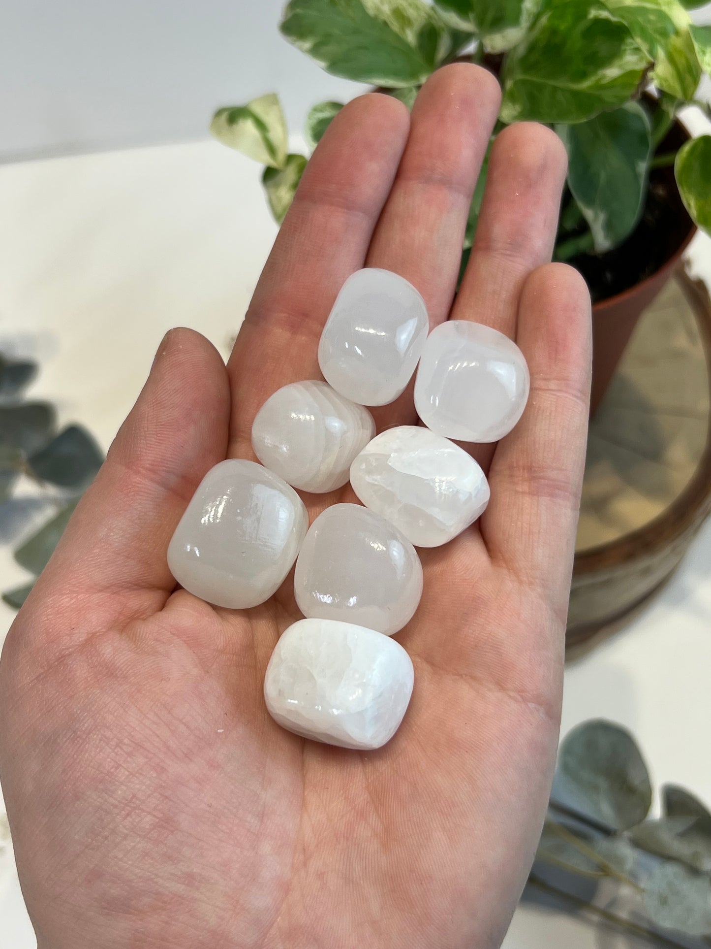 White Aragonite Tumbled