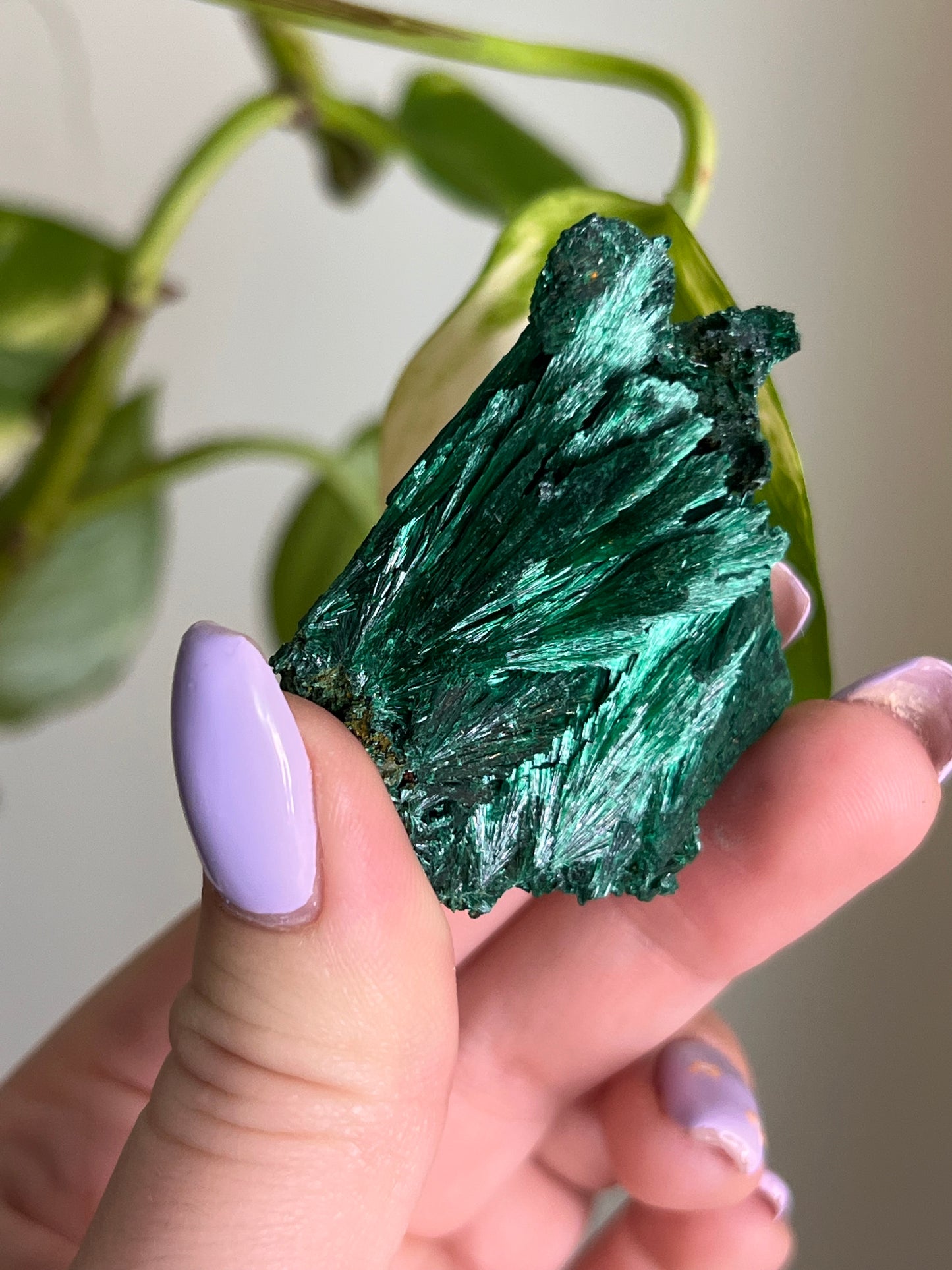 Fibrous Malachite - R