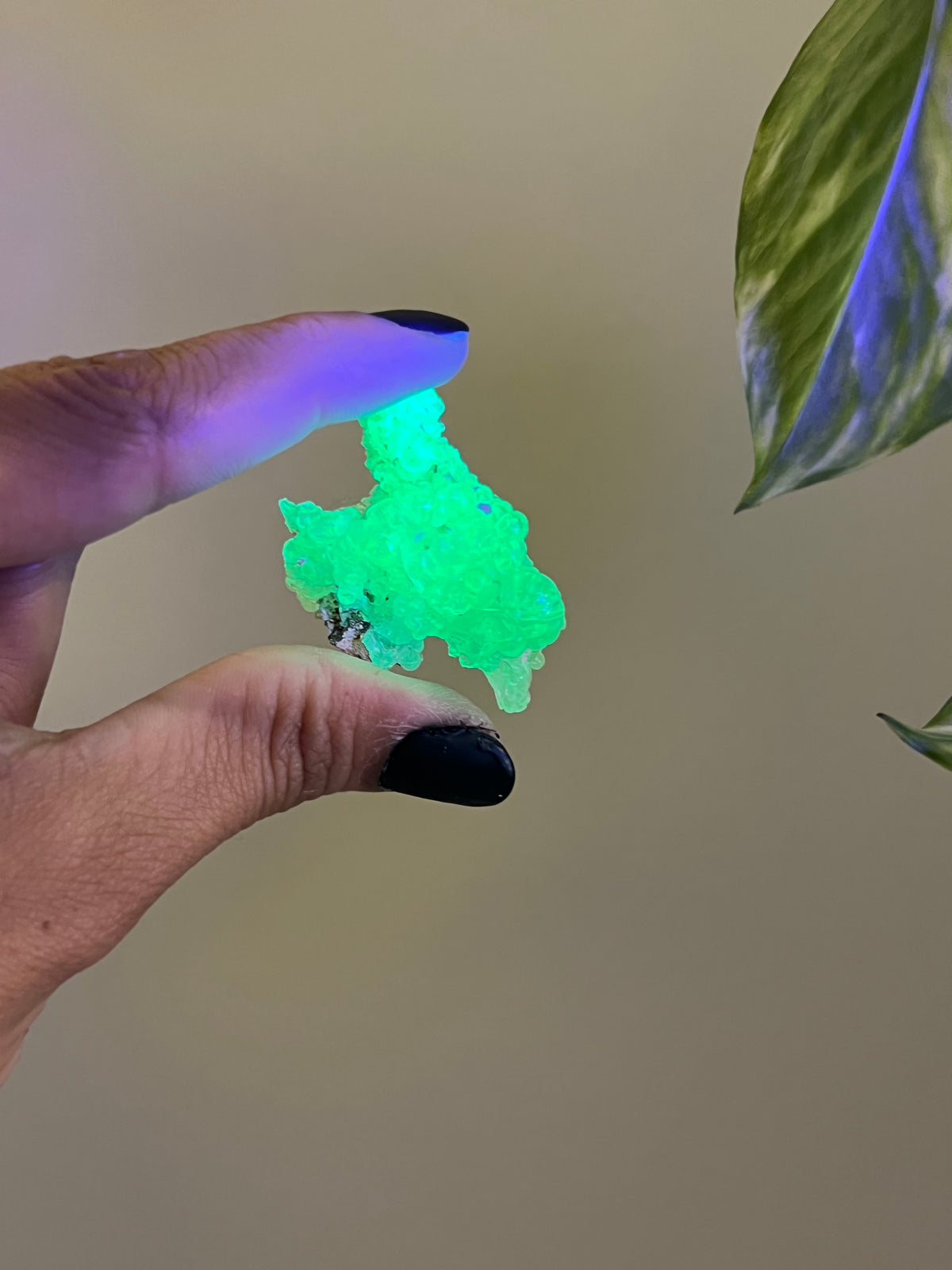 UV Reactive Hyalite Opal - A