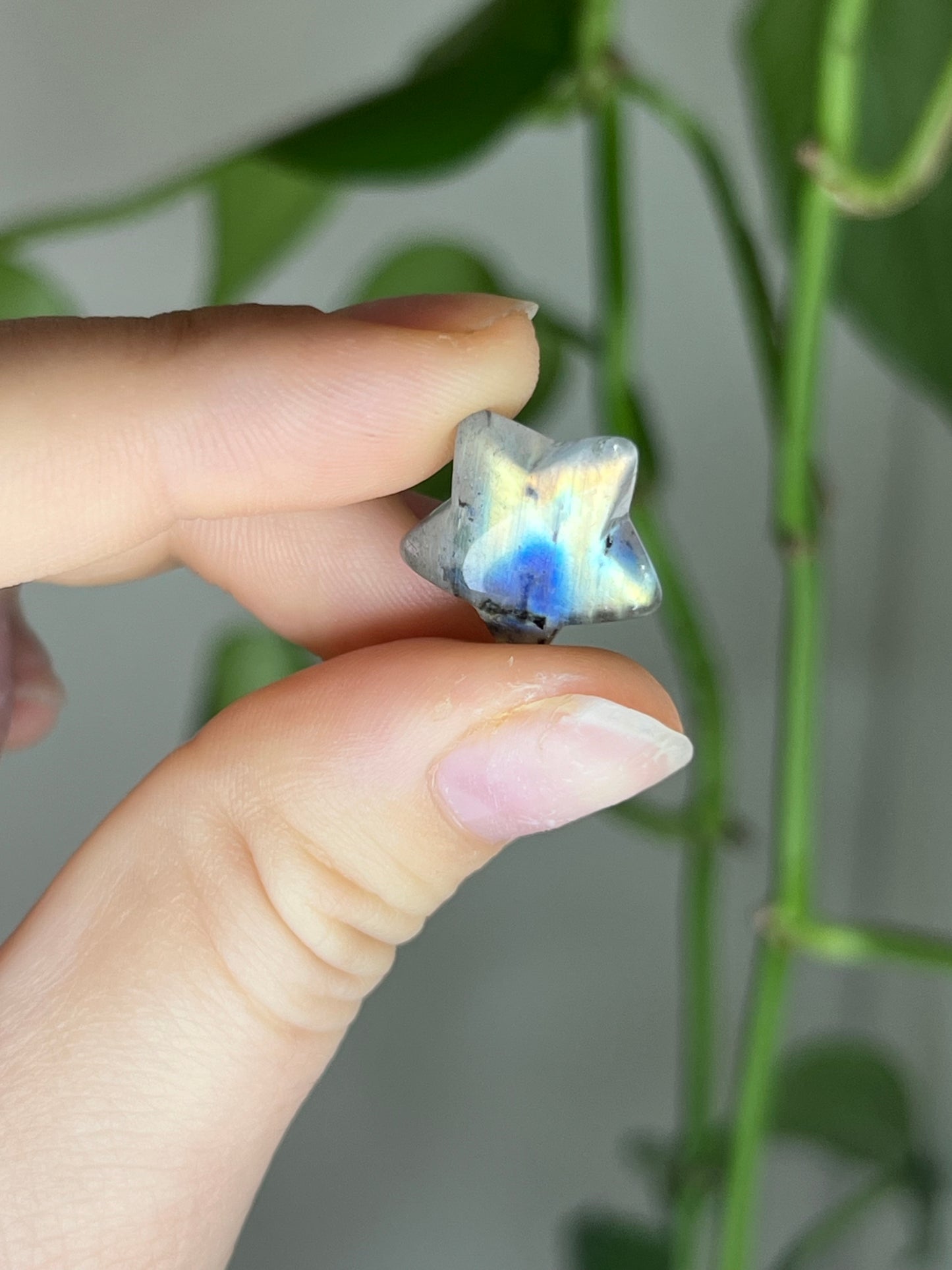 Flashy Labradorite Mini Star