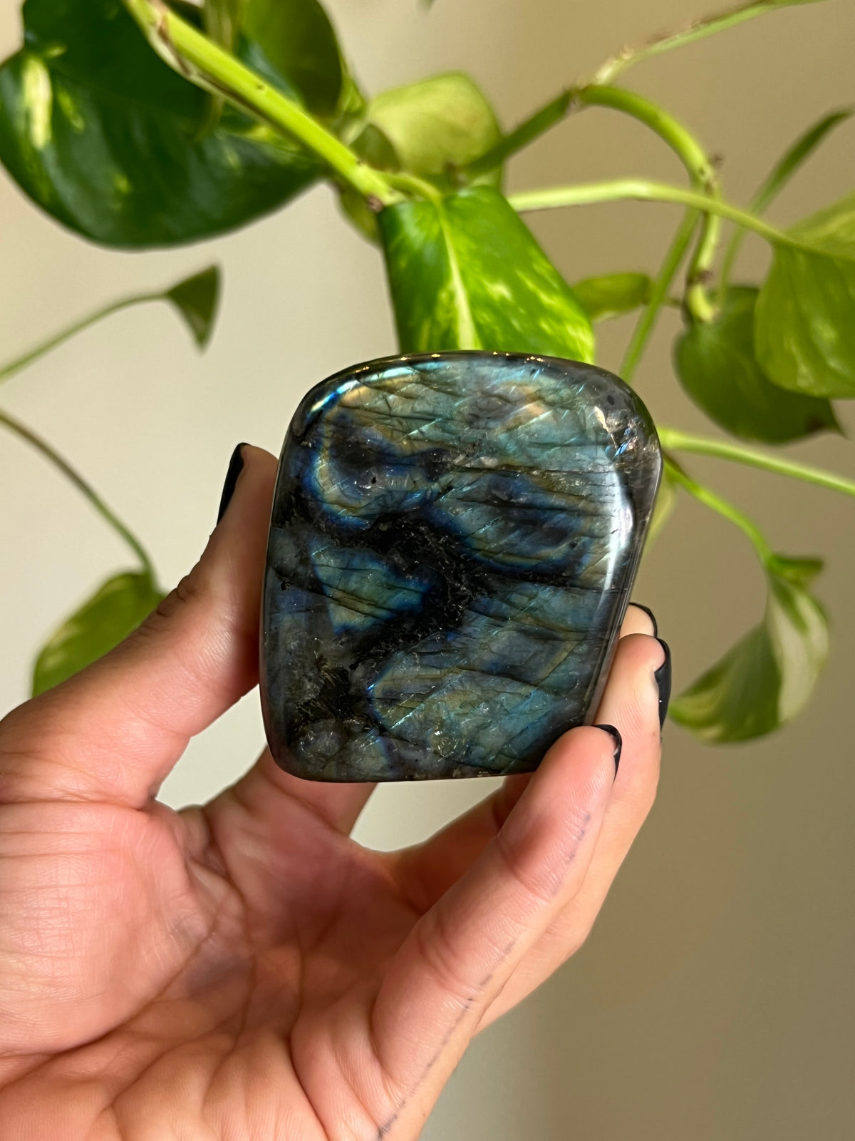 Flashy Labradorite Freeform