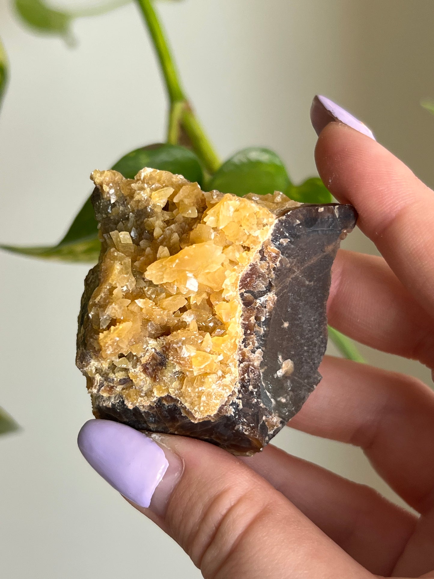Yellow Calcite - V