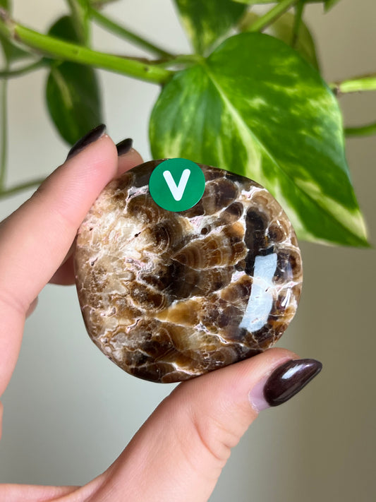 Chocolate Calcite Flat Stone - V