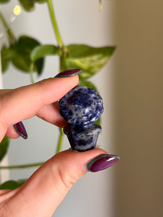 Sodalite Potted Sunflower