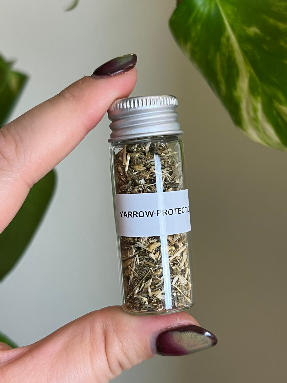 Yarrow Herb Vial - Protection + Divination