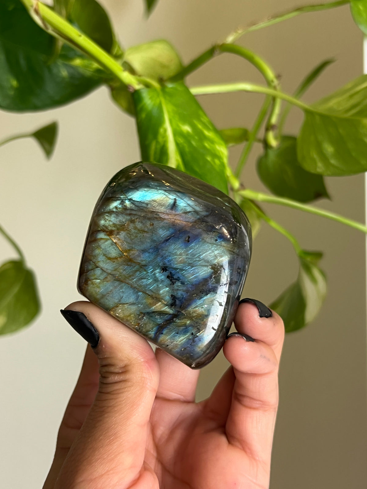 Flashy Labradorite Freeform
