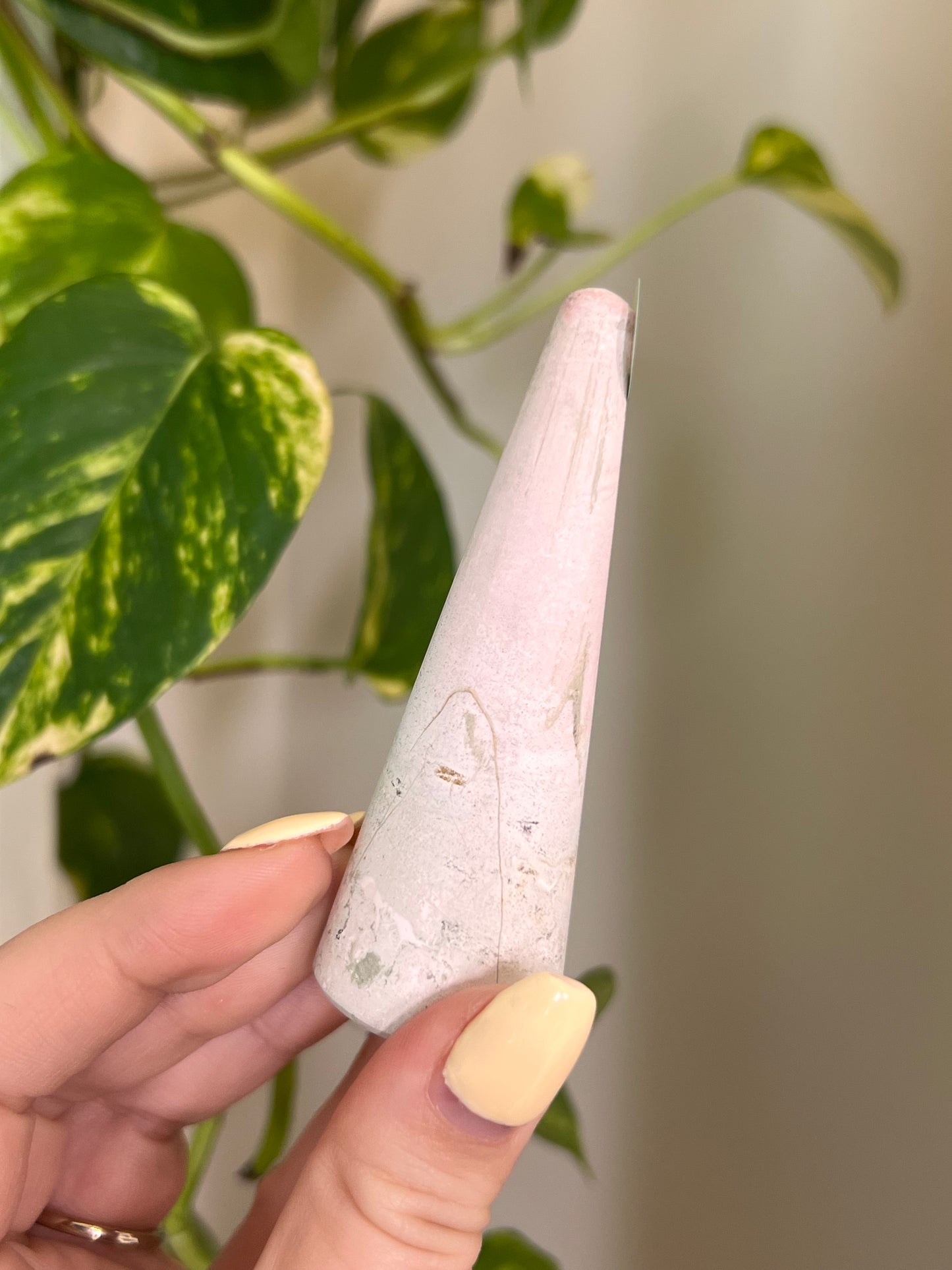 Unicorn Jasper Ring Holder - 0