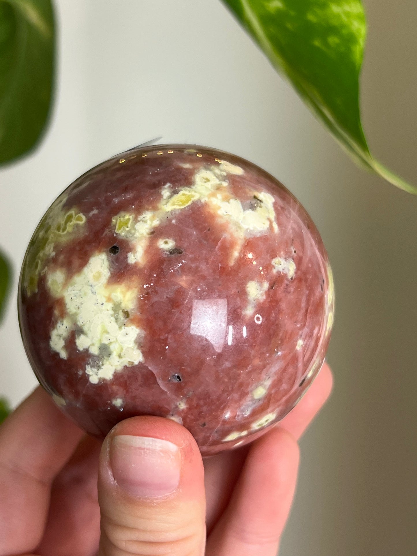 Plum Blossom Tourmaline x Serpentine Large Sphere - C