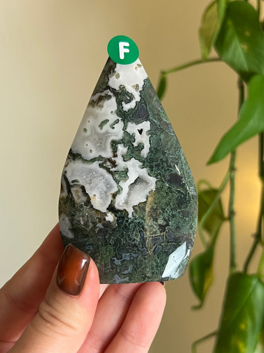 Moss Agate Freeform - F