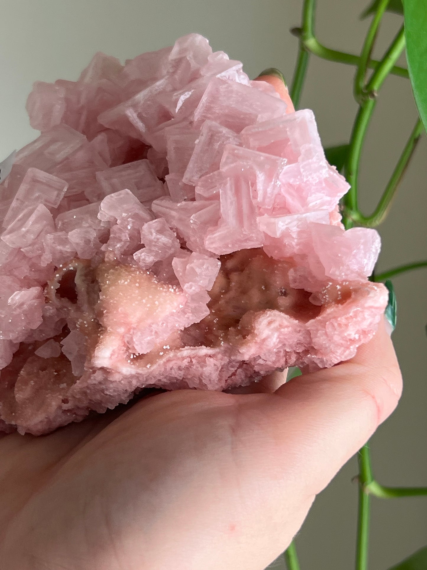 Pink Halite Specimen - XLarge - N