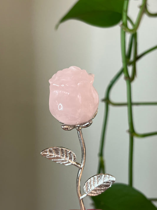 Rose Quartz Rose Silver Stem