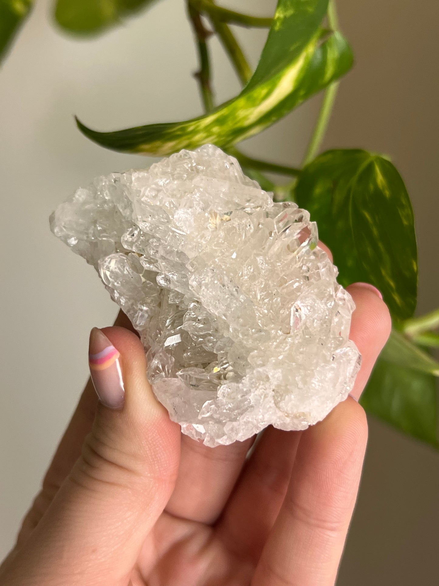 Clear Quartz Cluster - K