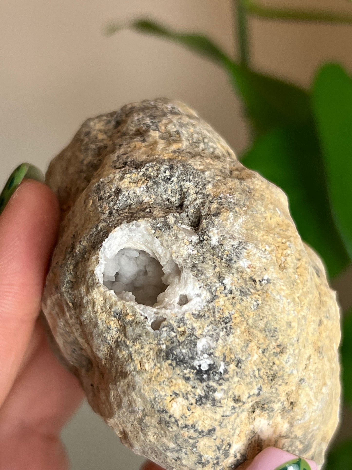 Crack Your Own Quartz Geode