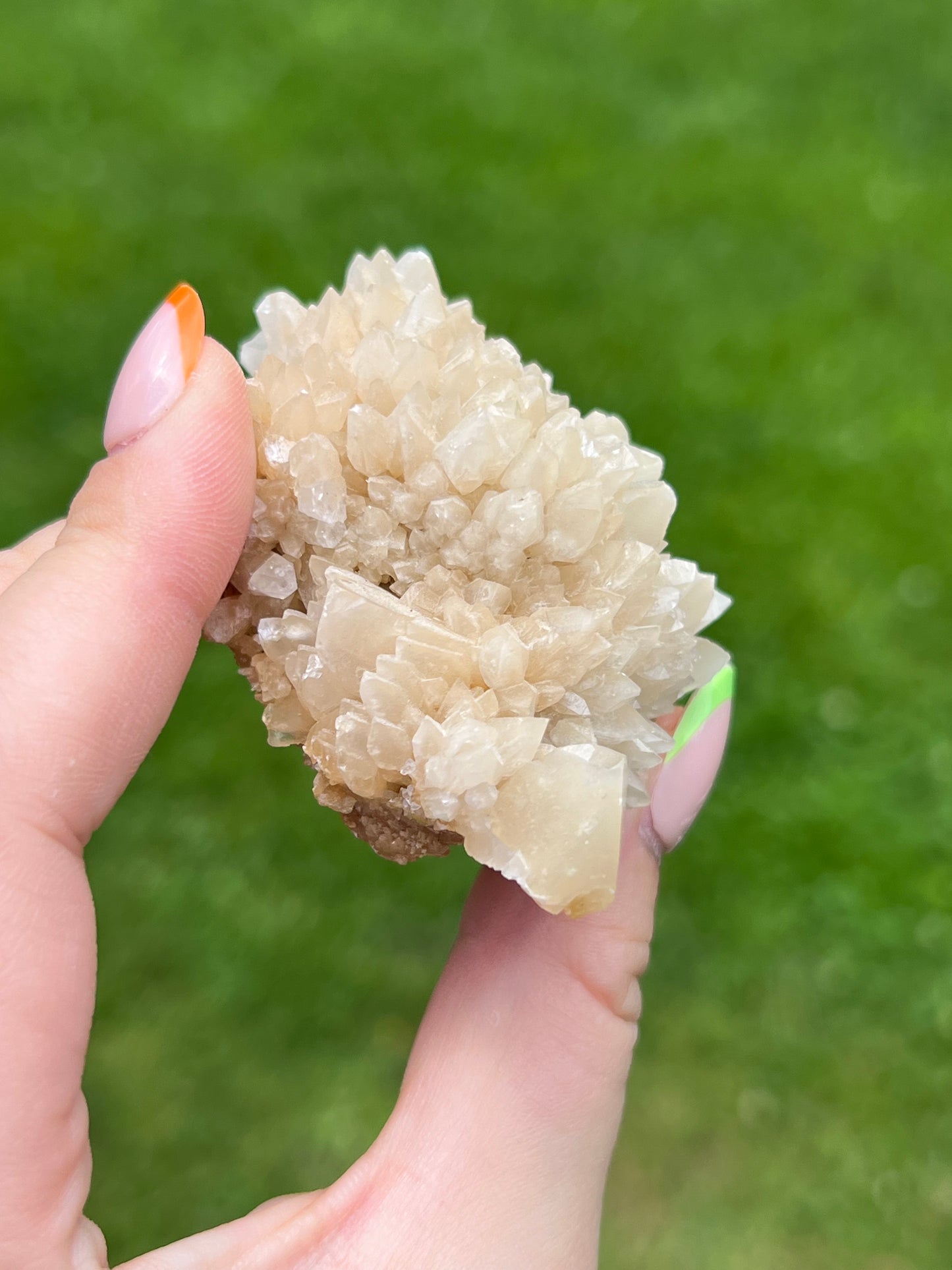 Yellow Dogtooth Calcite Cluster
