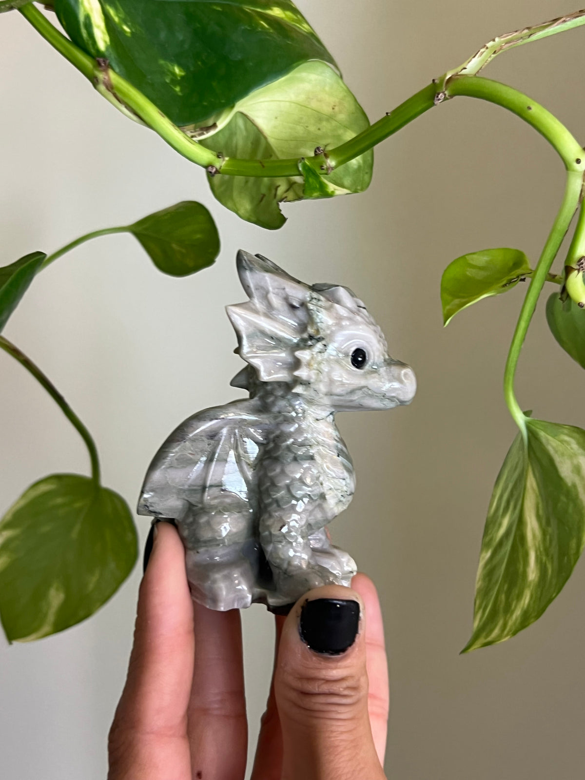 Peace Jade Dragon