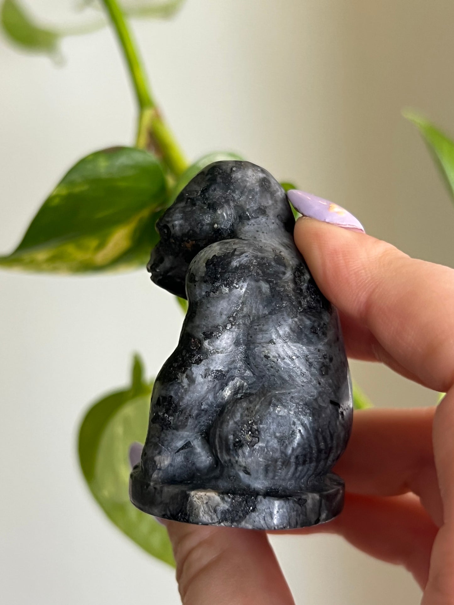 Flashy Larvikite Gorilla