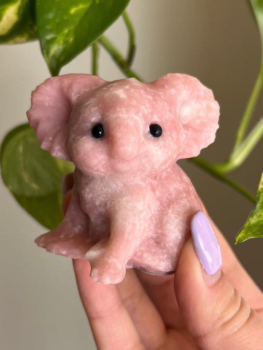 Pink Opal Koala - 2