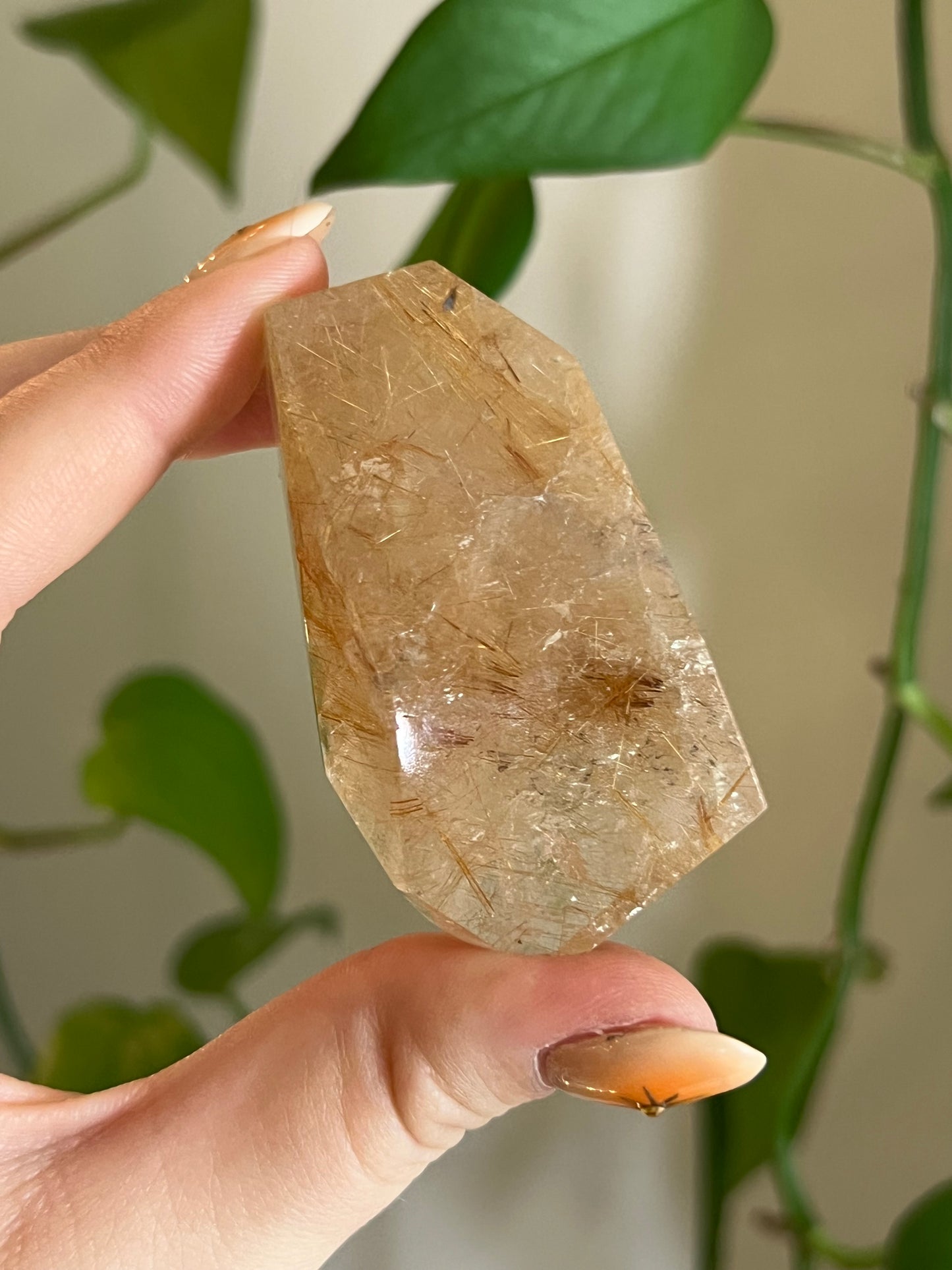 Golden Rutile Quartz Gusher - Y