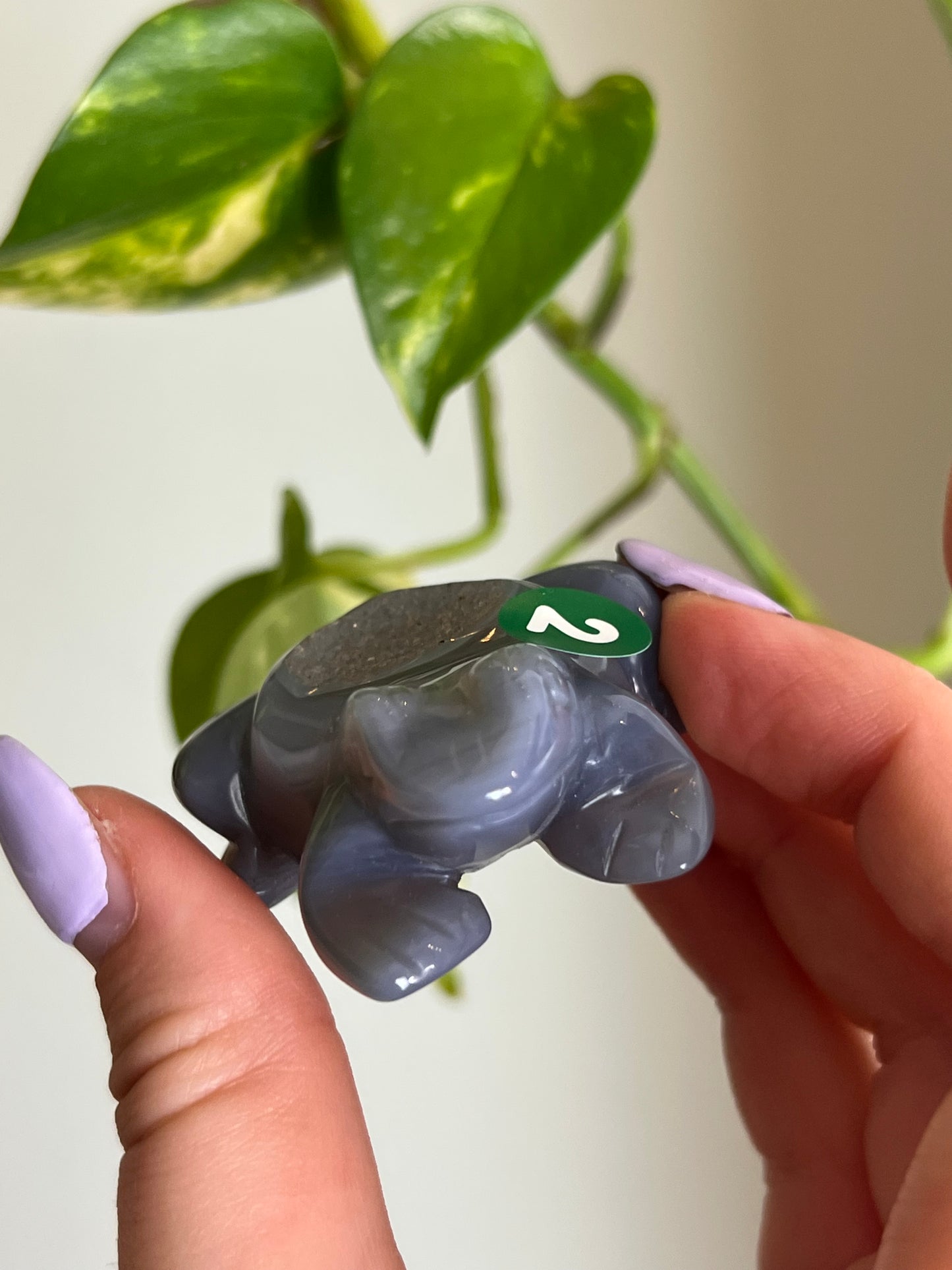 Druzy Agate Frog - 2