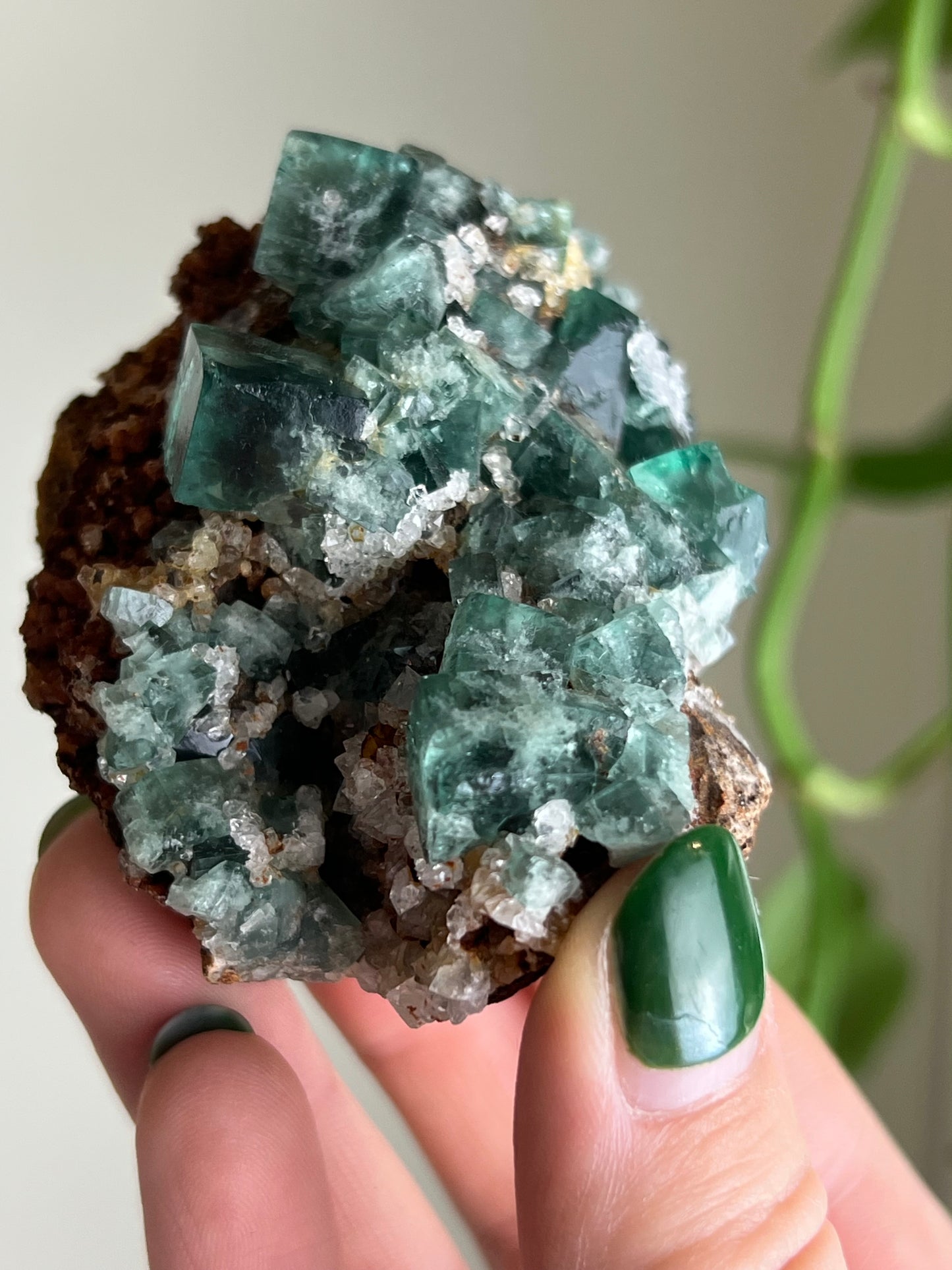 Cubic Sugar Druzy Fluorite - England