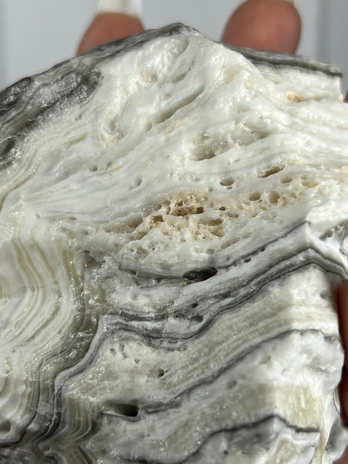 Zebra Calcite - Large