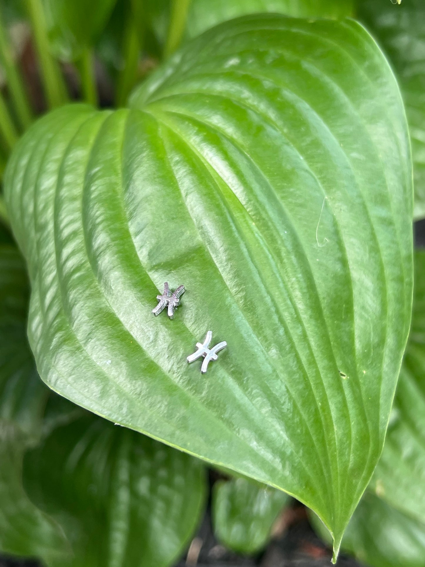 Pisces Silver Zodiac Sign Studs ♓️