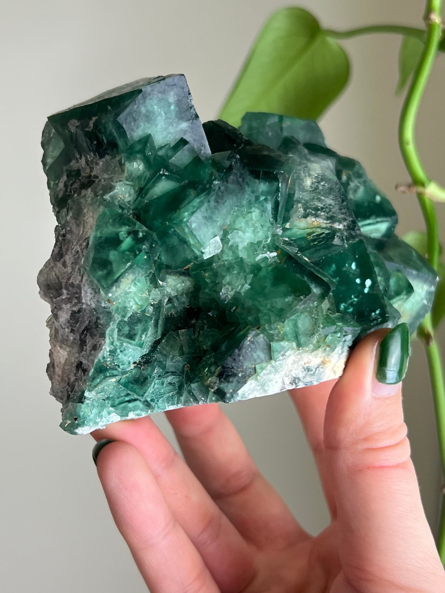 Green Cubic Fluorite Statement