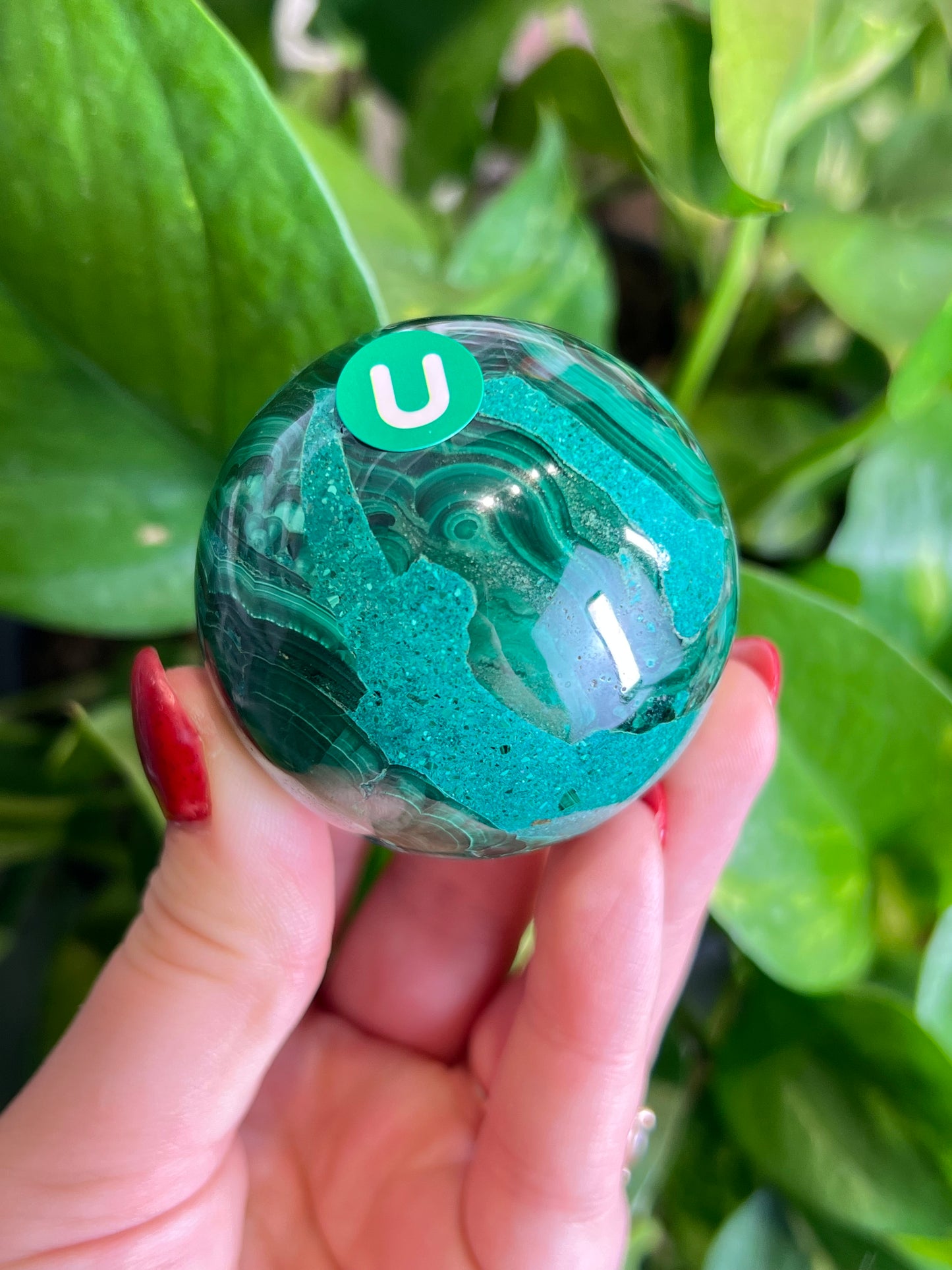 Malachite x Chrysocolla Sphere - U