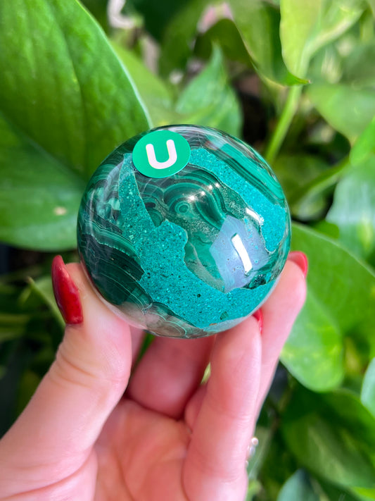 Malachite x Chrysocolla Sphere - U