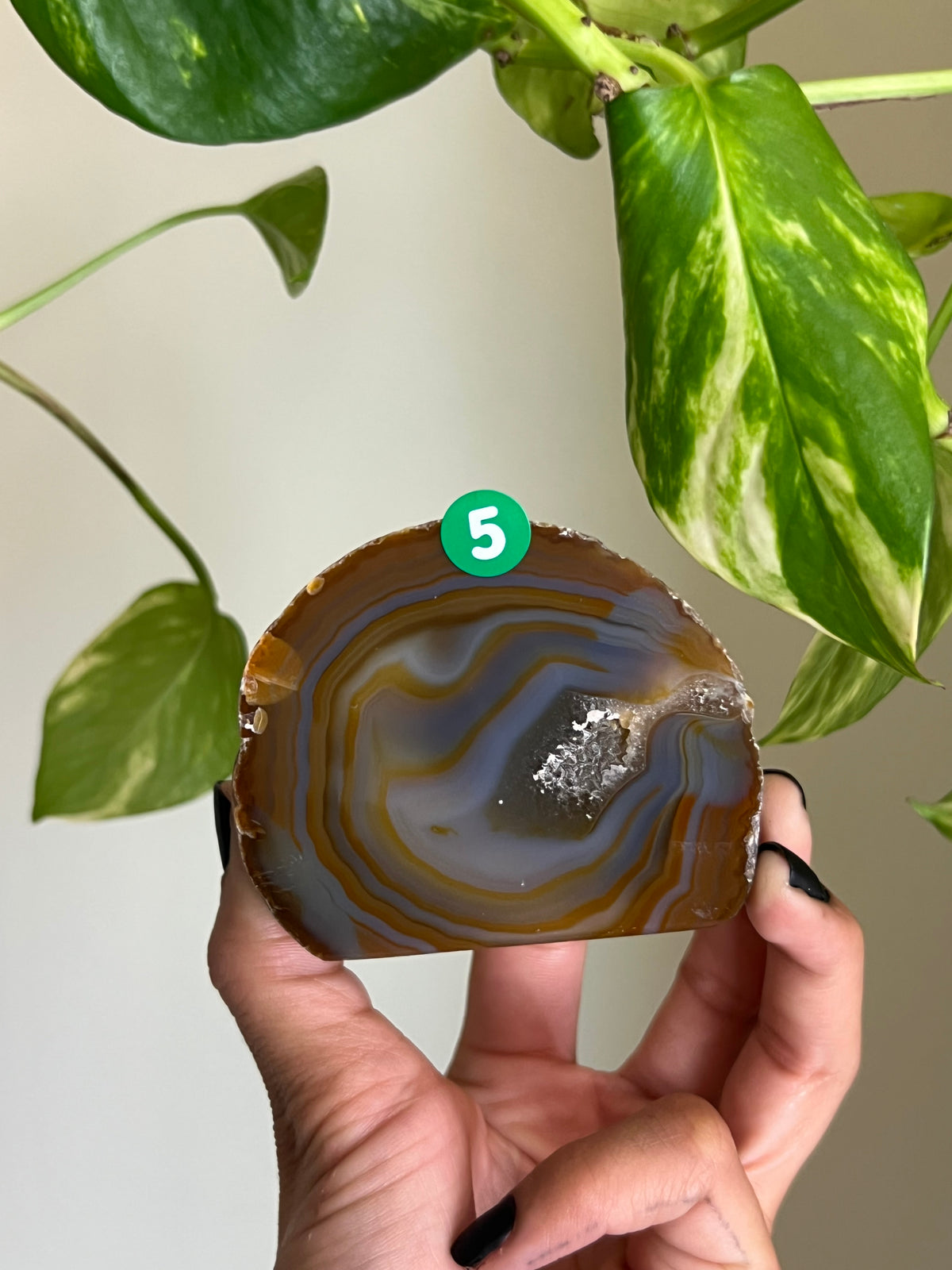 Brown + Blue Druzy Agate Freeform - 5