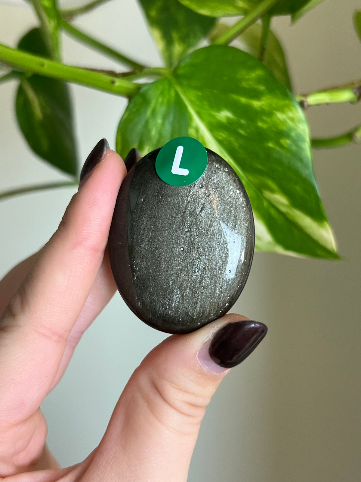 Gold Sheen Obsidian Small Palm Stone - L