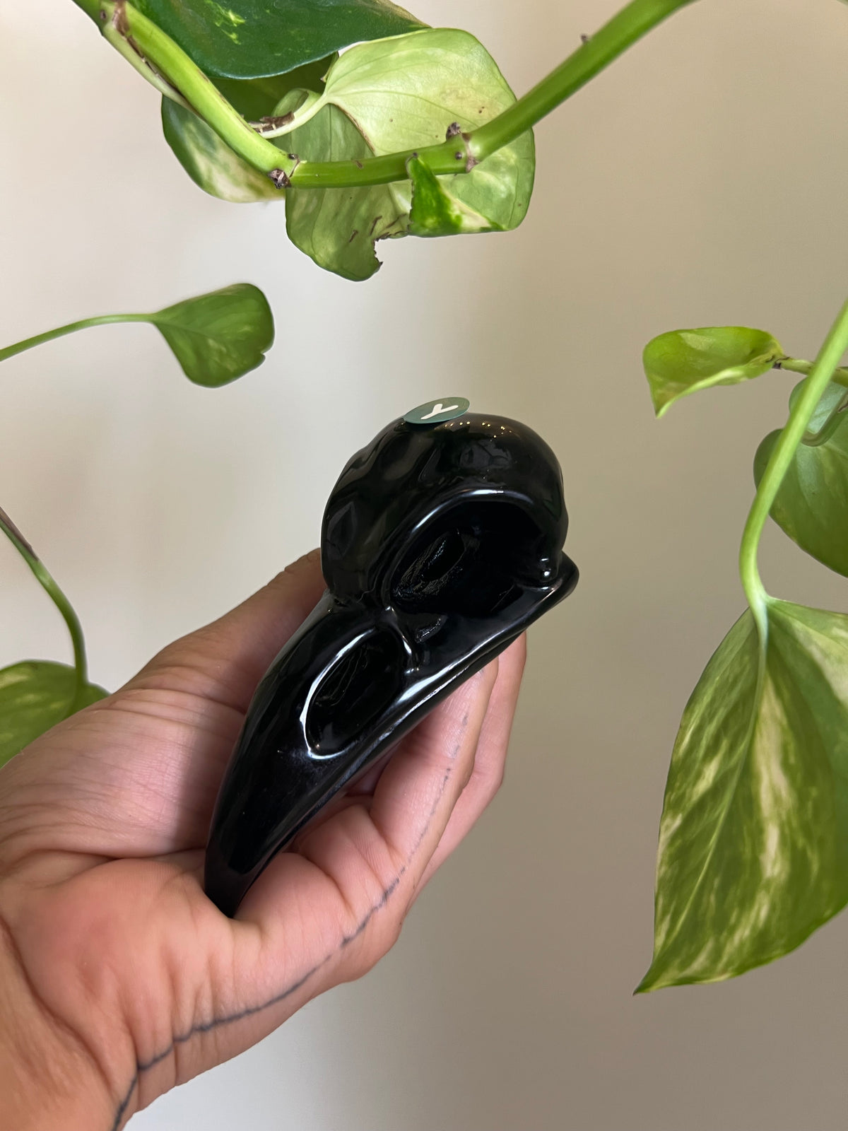 Black Obsidian Raven - Y