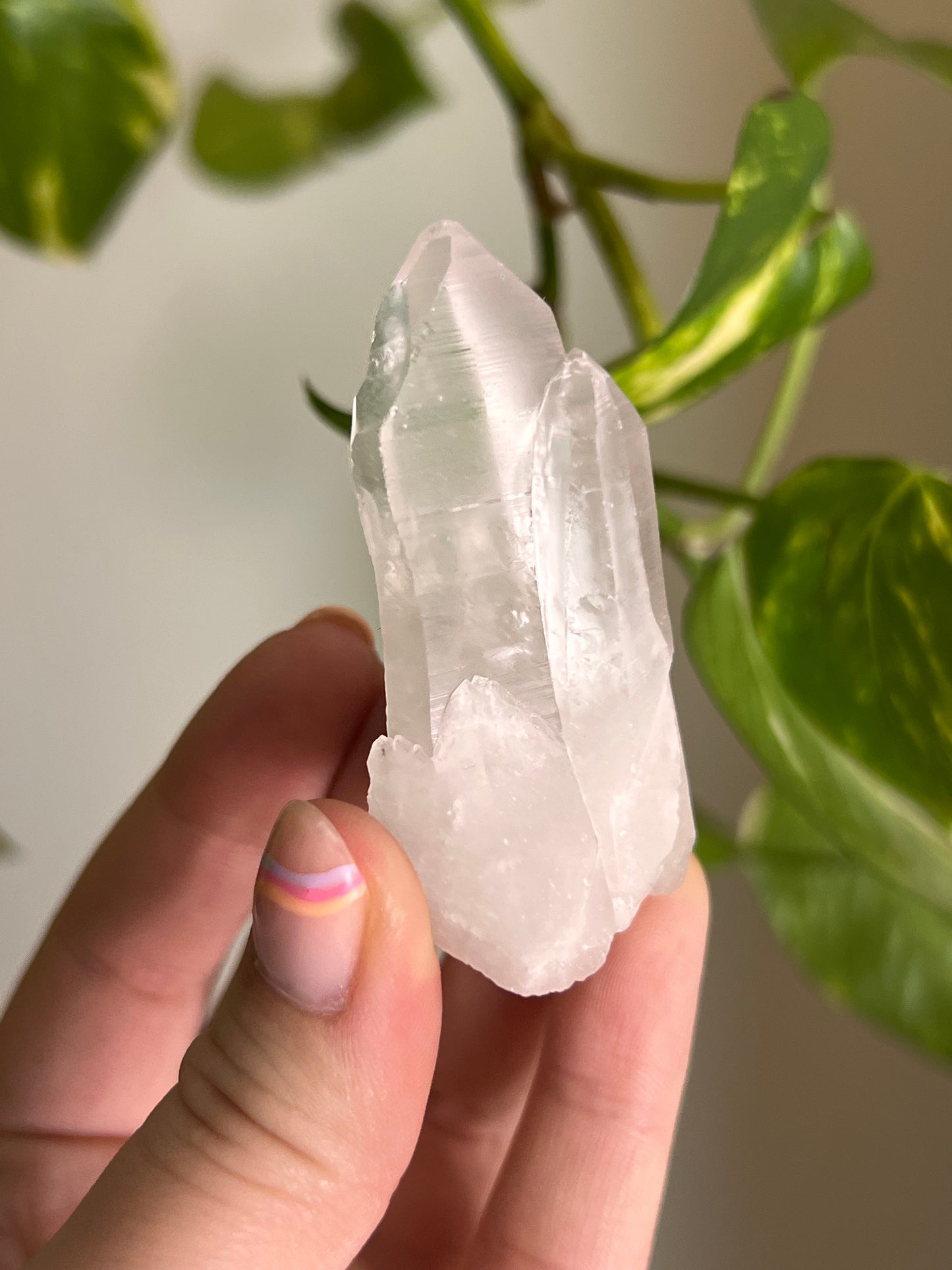 Clear Quartz Cluster - W
