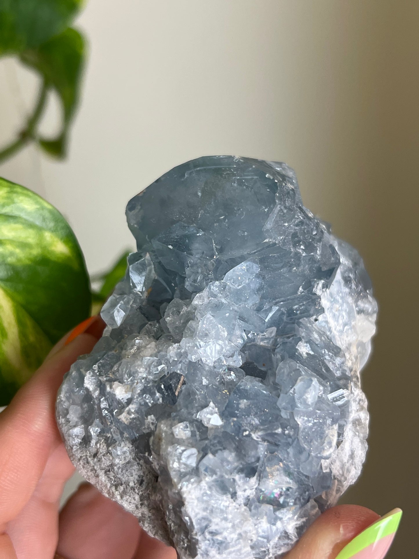 Celestite Cluster - A 🌊