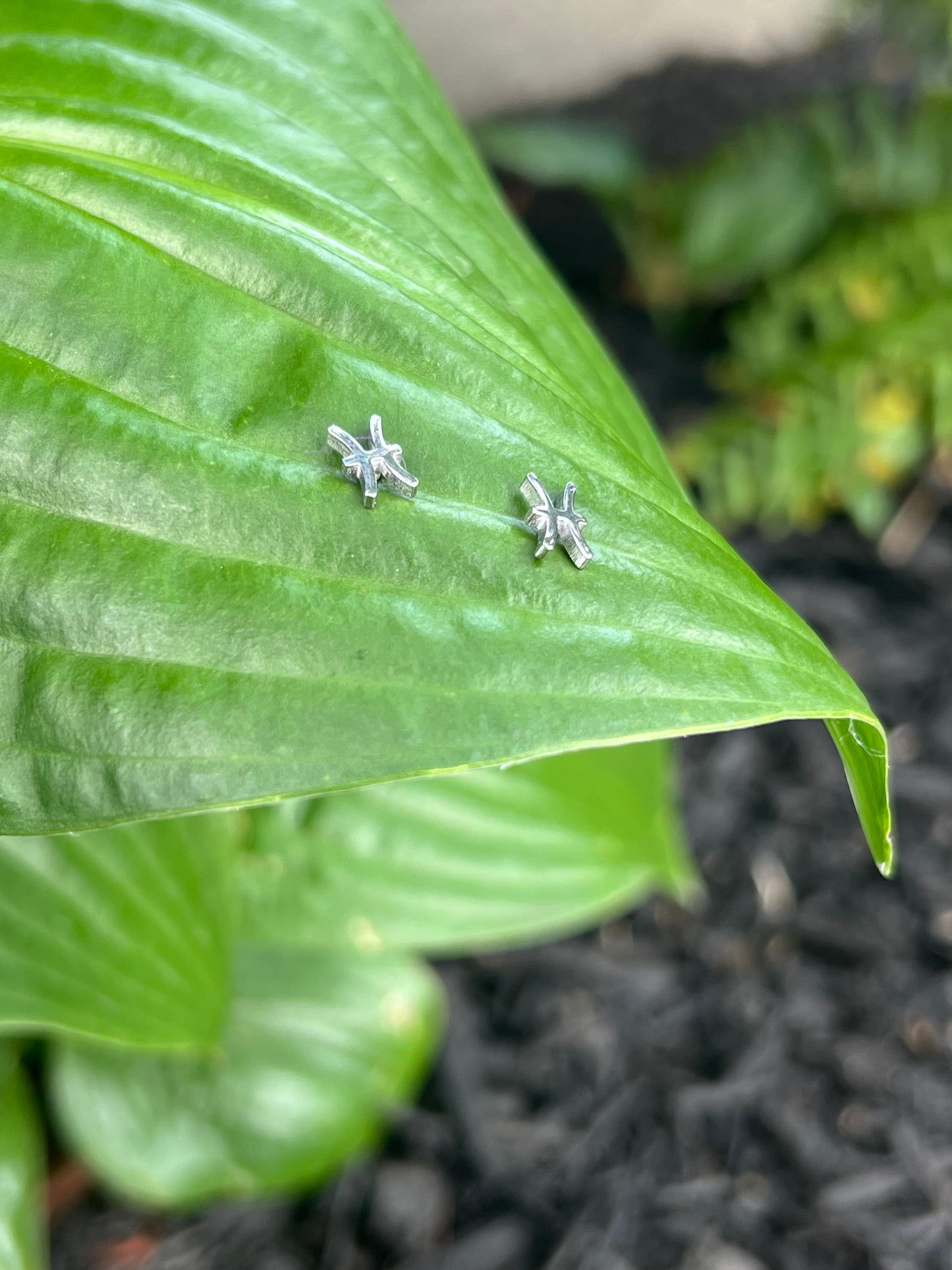 Pisces Silver Zodiac Sign Studs ♓️
