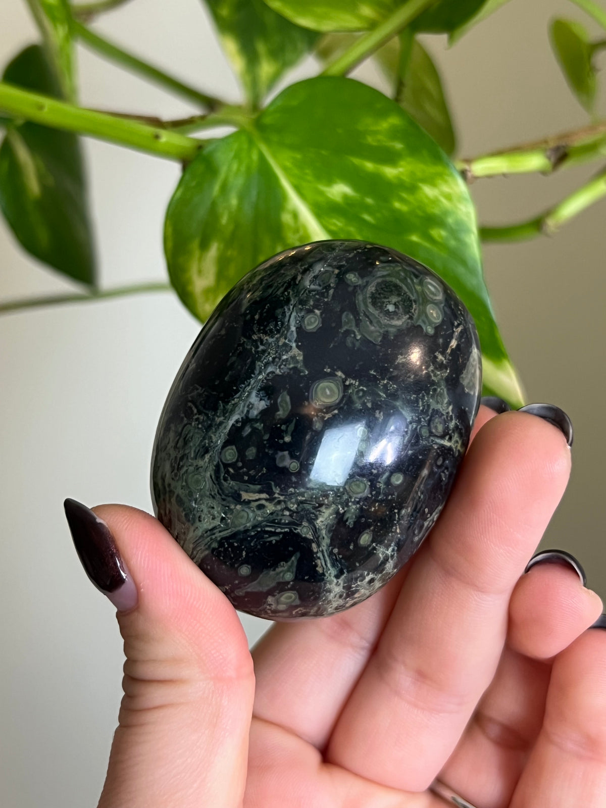 Kambaba Jasper Palm Stone - L
