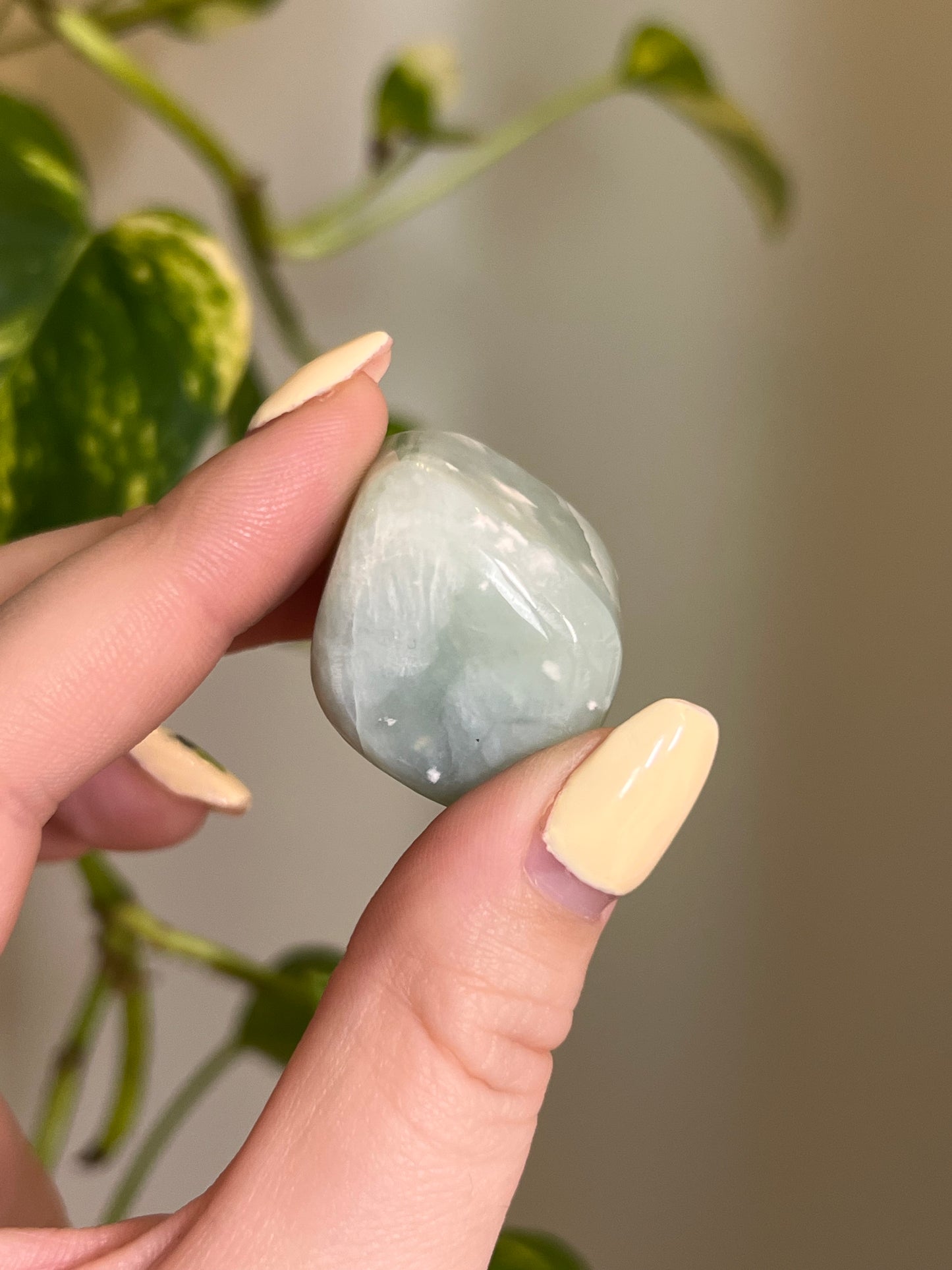 Grape Serpentine Tumbled