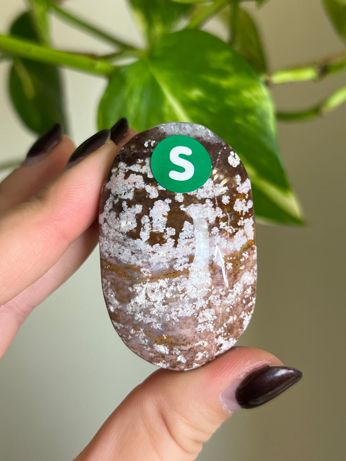 Purple Ocean Jasper Palm Stone - S