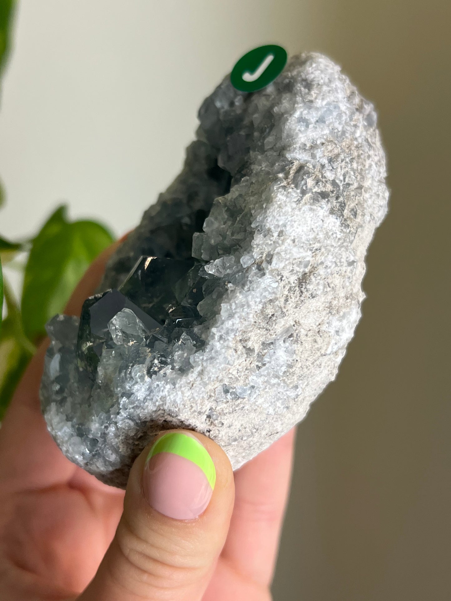 Celestite Cluster - J 🌊